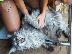 PoulaTo: Main Coon Kittens
